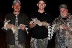 Exotic Ringtail Cat Trophy Hunting