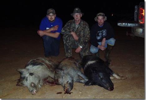 Wild Hog Javelina Trophy Hunting